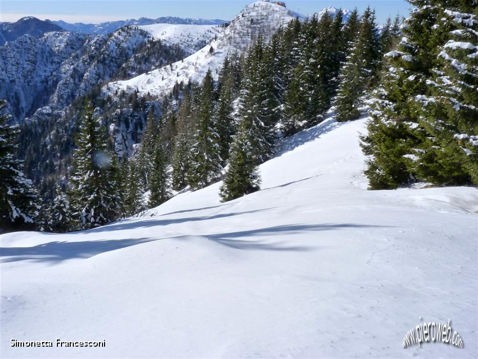 09 Candido tappeto di neve.JPG